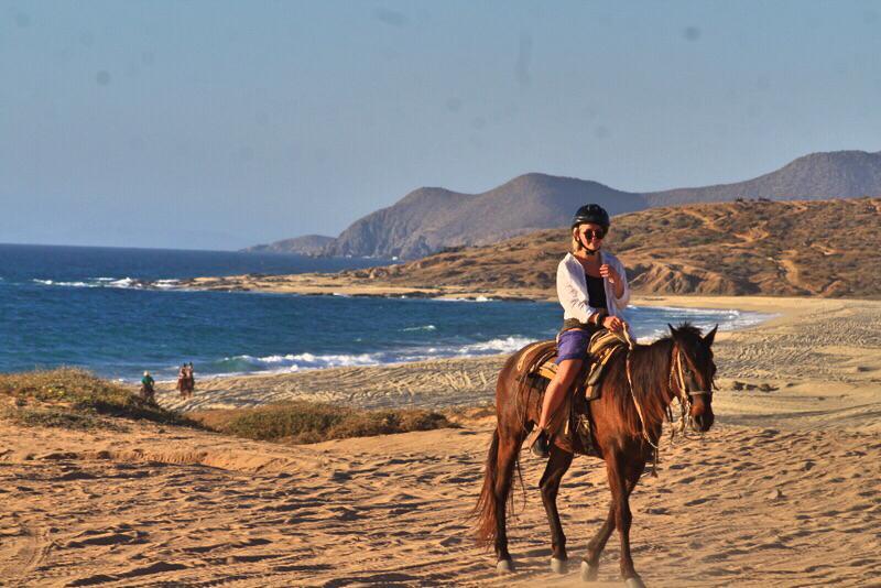 Cabo Desert Ocean Horseback